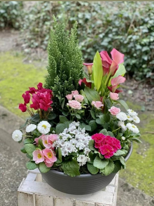 jardinière de deuil